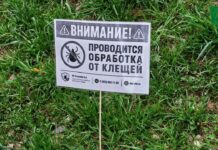 Обработка от клещей в Сыктывкаре: 430 000 квадратных метров территории в 2026 году