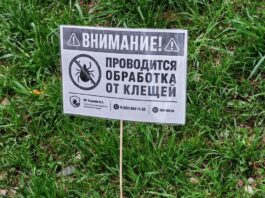 Обработка от клещей в Сыктывкаре: 430 000 квадратных метров территории в 2026 году